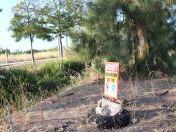 2025-02-23  THE GAME - TWO FIVE